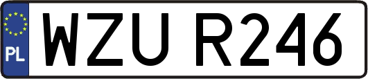 WZUR246