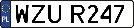 WZUR247