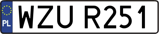 WZUR251
