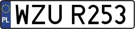 WZUR253