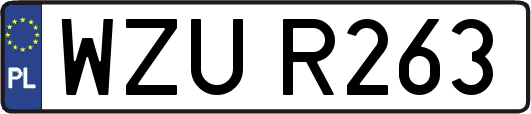 WZUR263