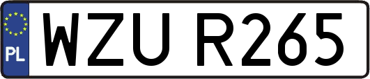 WZUR265