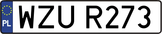 WZUR273