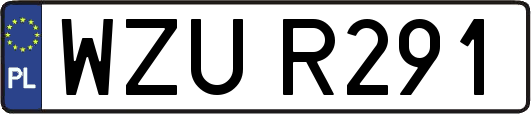 WZUR291