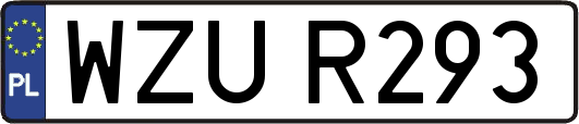 WZUR293