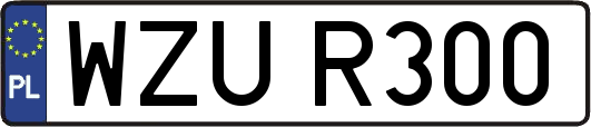 WZUR300