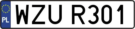 WZUR301