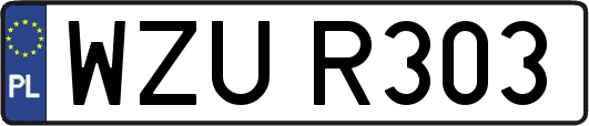 WZUR303