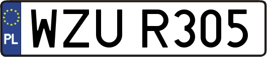 WZUR305