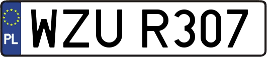 WZUR307