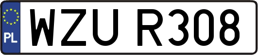 WZUR308