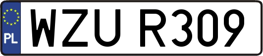 WZUR309