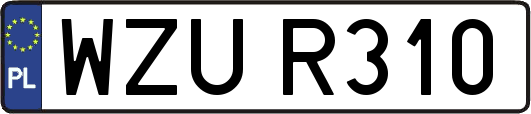 WZUR310