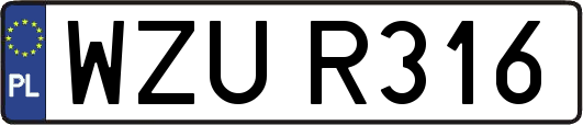 WZUR316