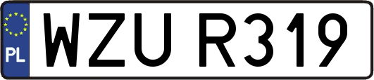 WZUR319