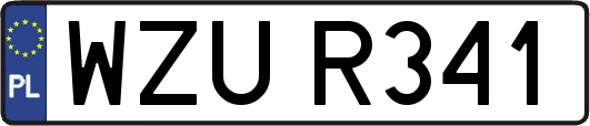 WZUR341