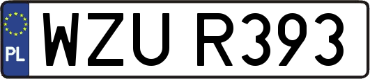 WZUR393
