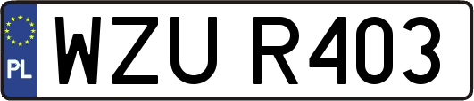 WZUR403