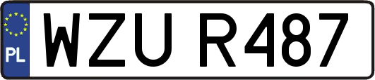 WZUR487