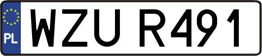 WZUR491