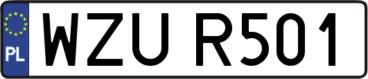 WZUR501