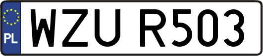 WZUR503