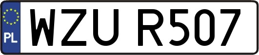 WZUR507