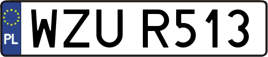 WZUR513