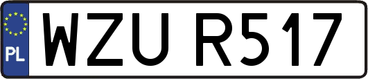 WZUR517