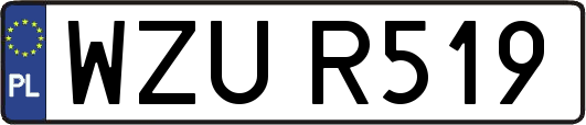 WZUR519