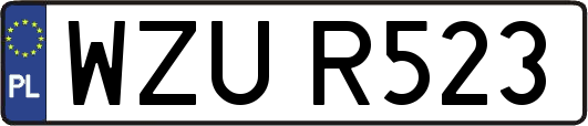 WZUR523