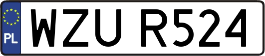 WZUR524