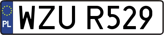 WZUR529