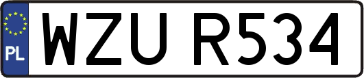 WZUR534