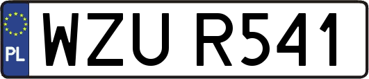 WZUR541