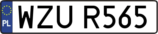 WZUR565