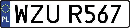 WZUR567