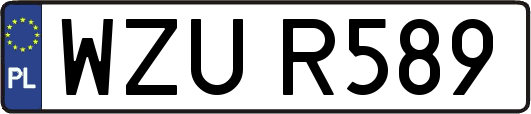 WZUR589