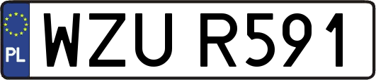 WZUR591