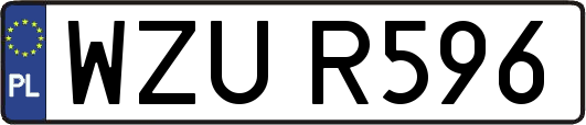 WZUR596