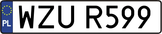 WZUR599