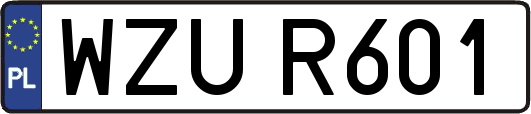 WZUR601