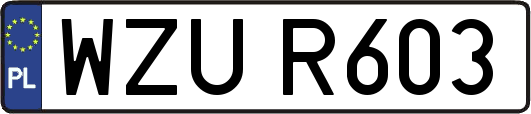 WZUR603