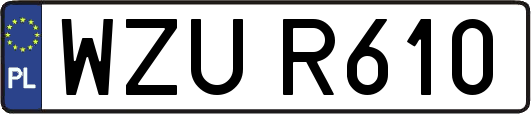 WZUR610