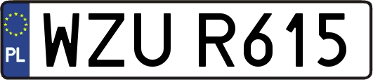 WZUR615