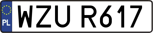 WZUR617