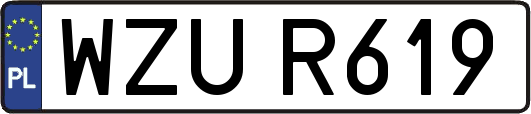WZUR619
