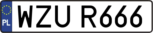 WZUR666