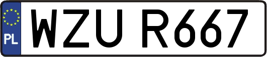 WZUR667
