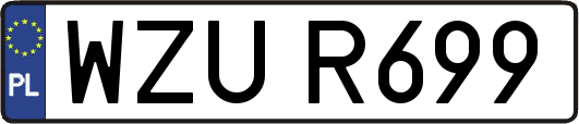 WZUR699